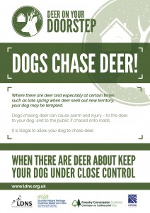 7095 Deer On Your Doorstep Dogs Poster 160915 v3